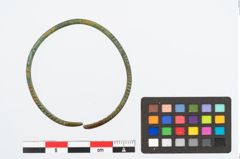 Foto von Bronzearmeif (NHMW-PRAE-026452)